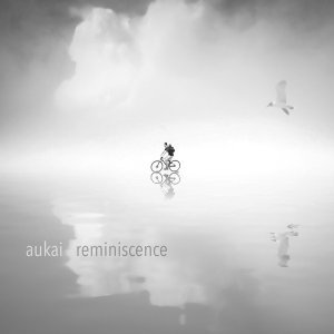 Обложка: Aukai - Home
