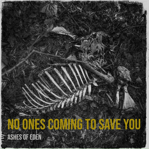 Обложка: Ashes of Eden - No Ones Coming to Save You