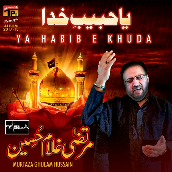 Обложка: Murtaza Ghulam Hussain - Ay Bhaya Abbas