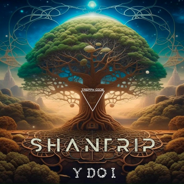 Обложка: Y do I - Shantrip