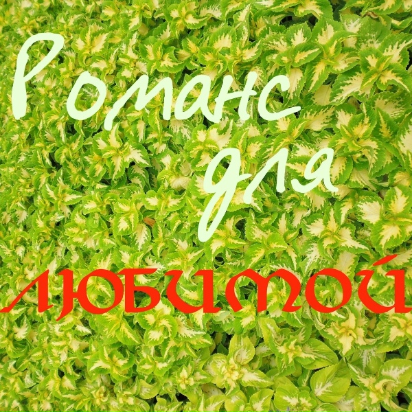 Обложка: Иван Ильичёв - Чайная ложечка сахара