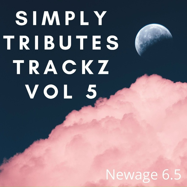 Обложка: Newage 6.5 - FIRE SATURDAY (Tribute Version Originally Performed By SECRET NUMBER)