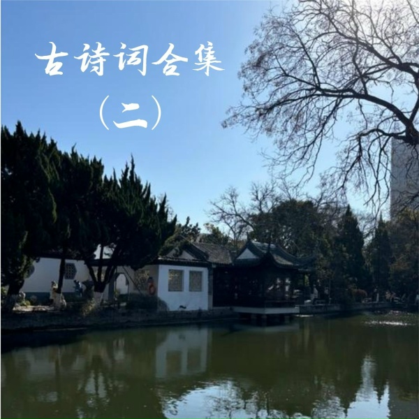 Обложка: 陈怡孜 - 小池