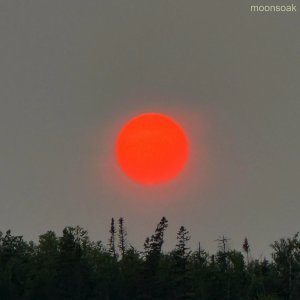 Обложка: JPL, A Girl Named Sue feat. Tora - Moonsoak