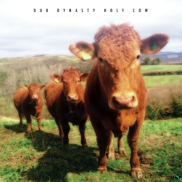 Обложка: Dub Dynasty feat. Cologne - In the Secret Place