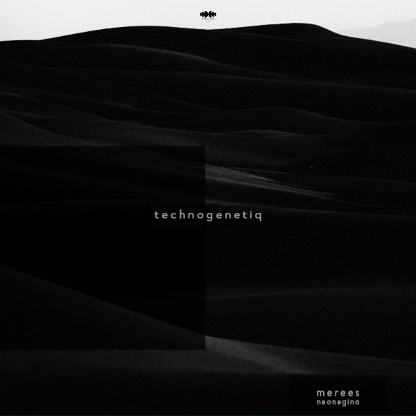 Обложка: merees, neonegina - more than