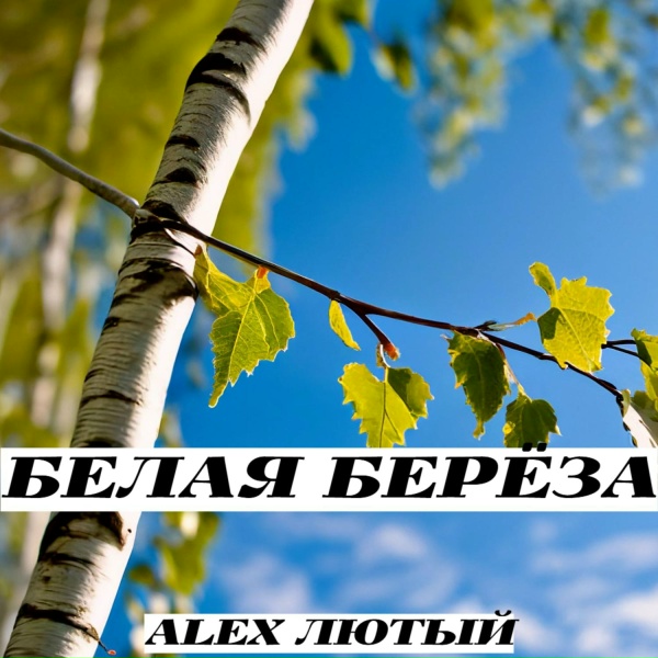 Обложка: Alex Лютый - Белая берёза