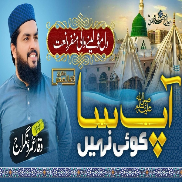 Обложка: Waqar Umar Dangraj - Ali Haidar E Karar