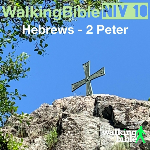 Обложка: WalkingBible, Matt Weeks - 1 Peter 4:8