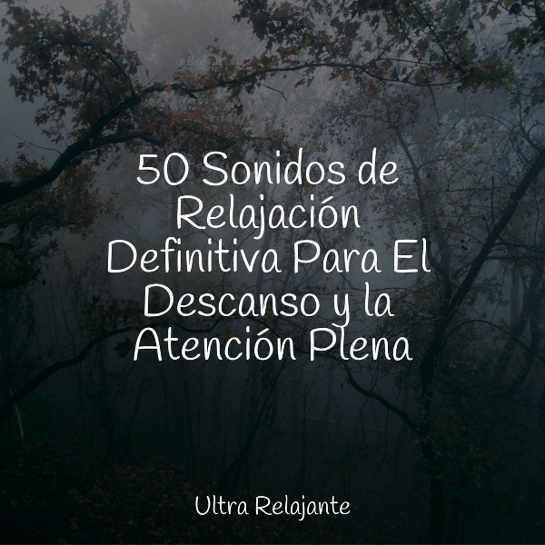 Обложка: Sueños Triplete, Natureza, Massagem Guru - Calma Y Delicadeza