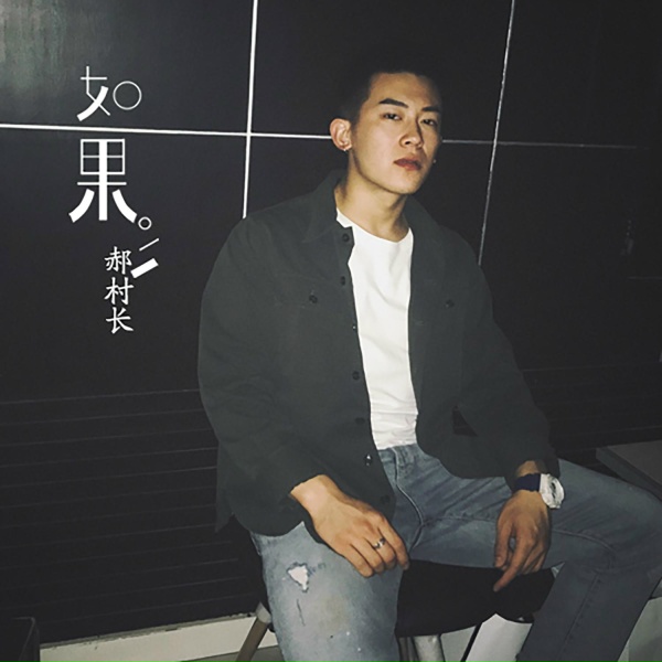 Обложка: 郝村长 - 如果
