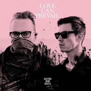 Обложка: Electric Wire Hustle - Loveless