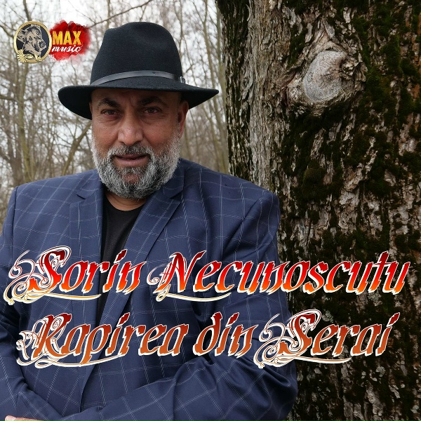 Обложка: Sorin Necunoscutu - Mesaj De Interes Public