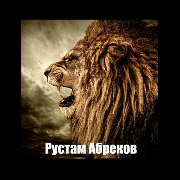 Обложка: Rustam Abrekov - О черных днях поведали мне горы