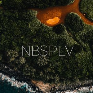 Обложка: NBSPLV - Delve