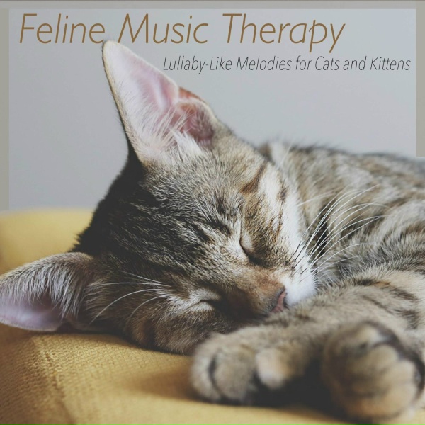 Обложка: RelaxMyCat, Pet Music Therapy - Purple Breeze