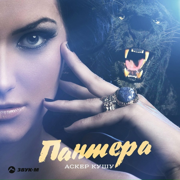 Обложка: Аскер Кушу - Пантера