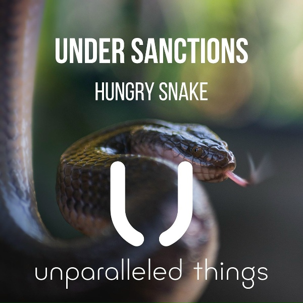 Обложка: Under Sanctions - Hungry Snake (Extended Mix)