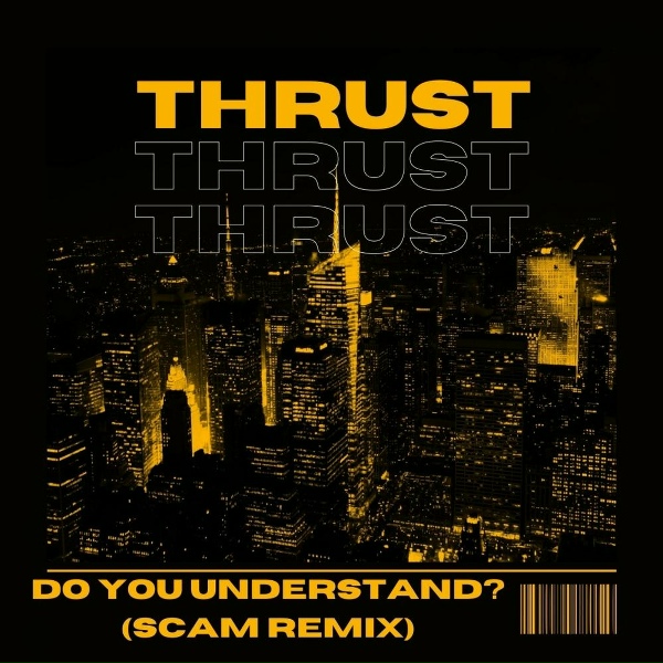 Обложка: Thrust - Do You Understand?