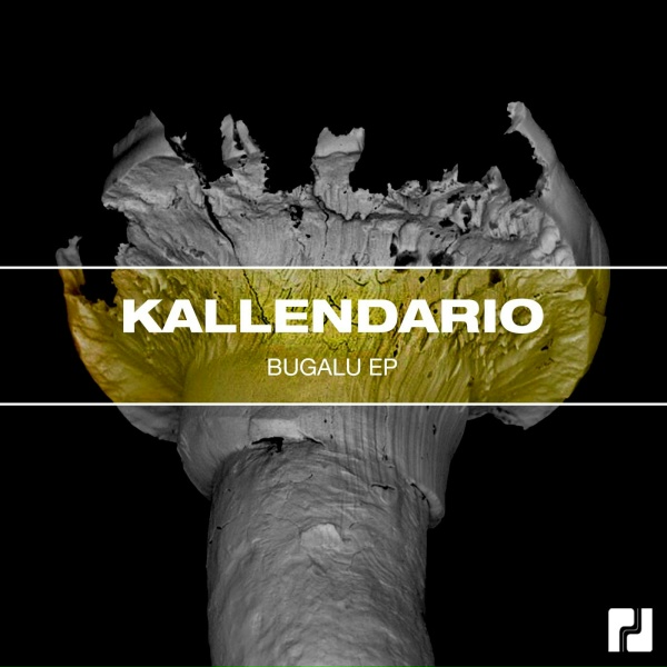 Обложка: Kallendario - Bugalu