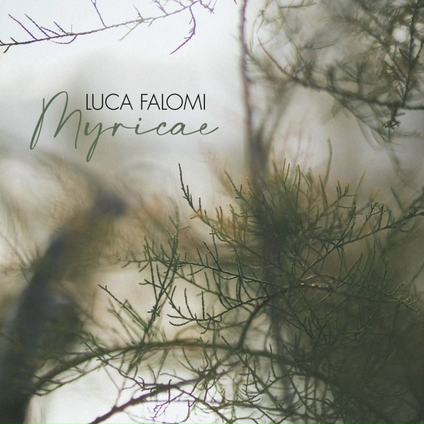 Обложка: Luca Falomi - Sciarada