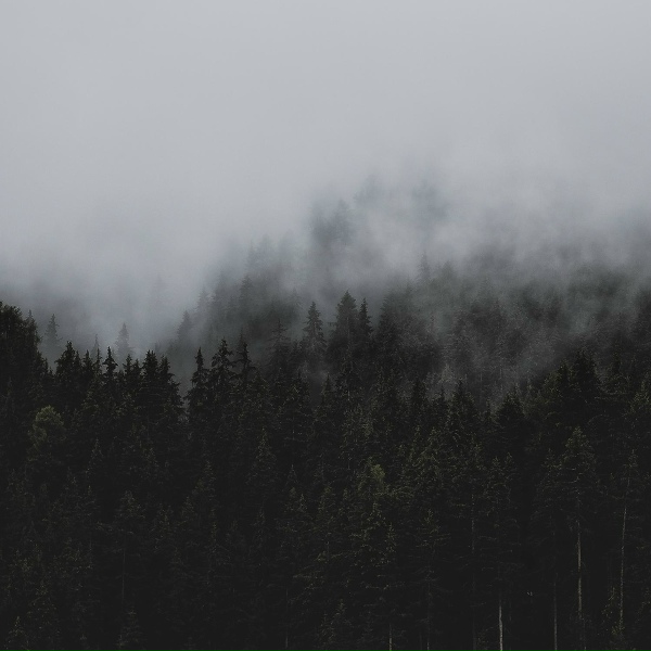 Обложка: Relaxing Spa Music, Sleep Sound of Nature, Deep Rain Sampling - Sleepy Night