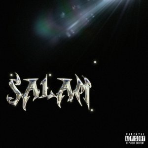 Обложка: Платина - Salam