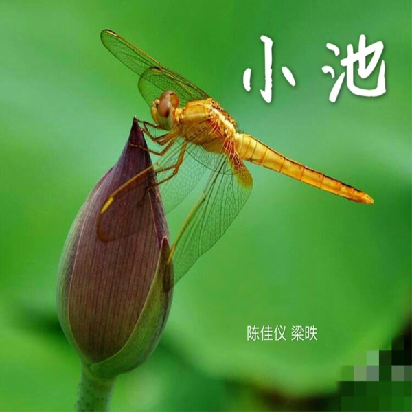 Обложка: 梁昳, 陈佳仪 - 小池