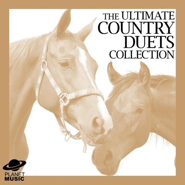 Обложка: The Tribute Co., The Hit Co. - Beer Run