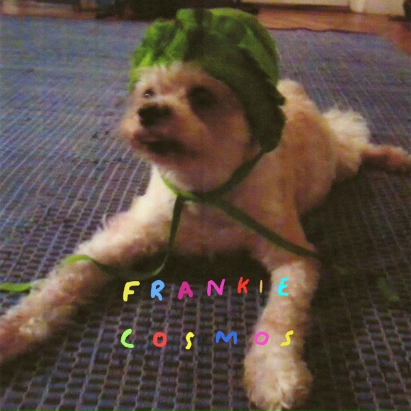 Обложка: Frankie Cosmos - Dancing In The Public Eye