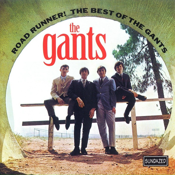 Обложка: The Gants - I Wonder