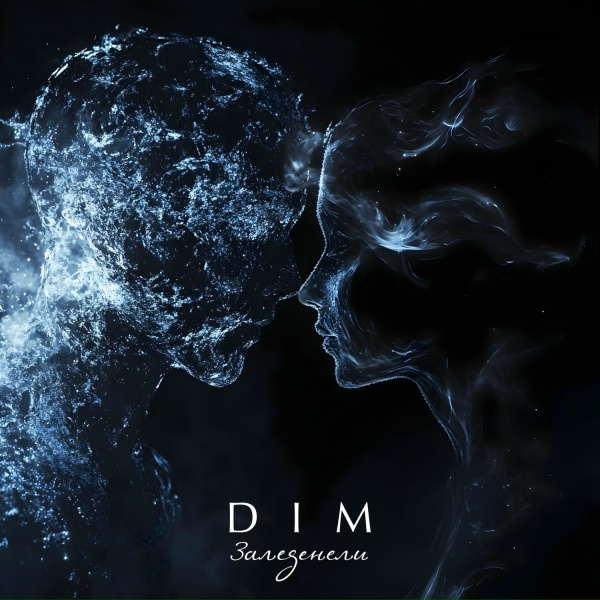 Обложка: DIM - Заледенели