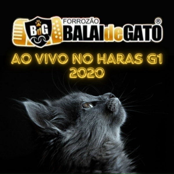 Обложка: Forrozão Balai de Gato - Baião de Dois