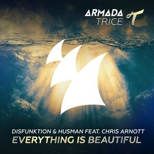 Обложка: Husman, Disfunktion feat. Chris Arnott - Everything Is Beautiful