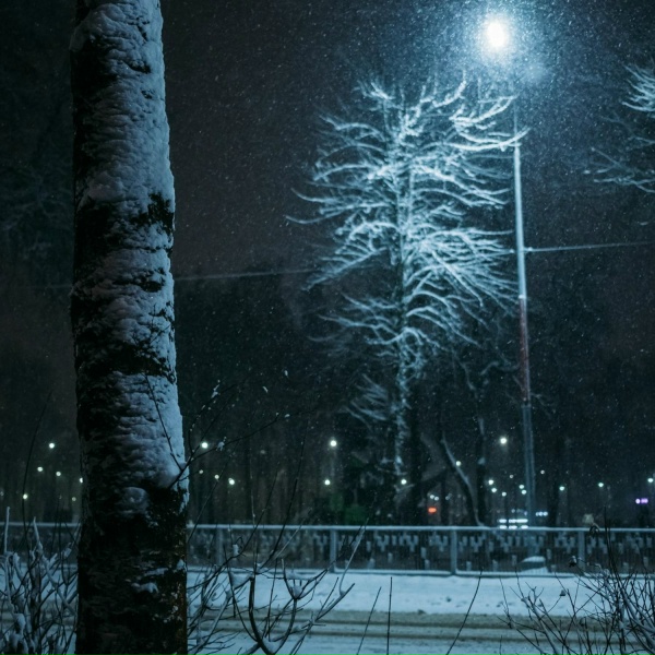 Обложка: nevertried - Hopelessness