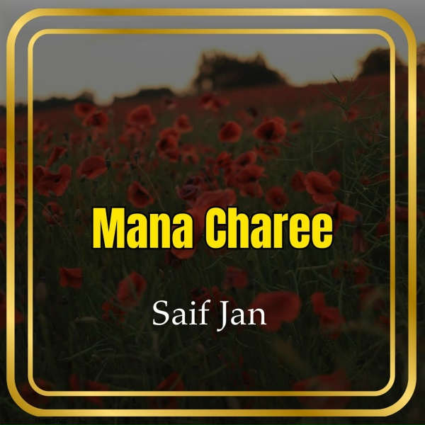 Обложка: Saif Jan - Mana Darda
