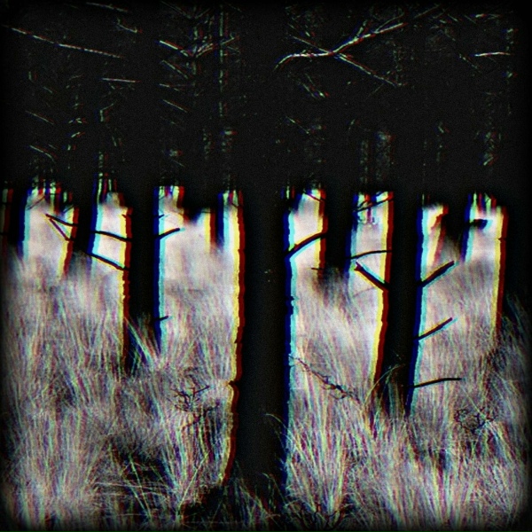 Обложка: 24.16 - Root
