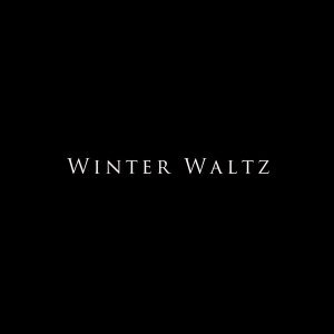 Обложка: Infinite Stream - Winter Waltz