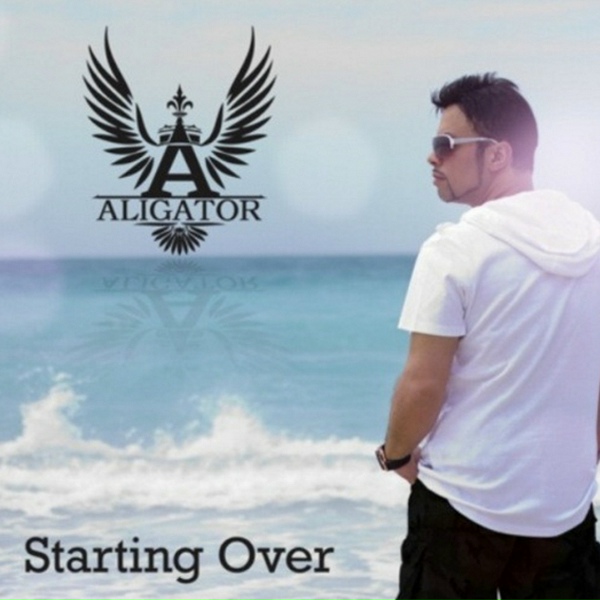 Обложка: DJ Aligator - Starting Over