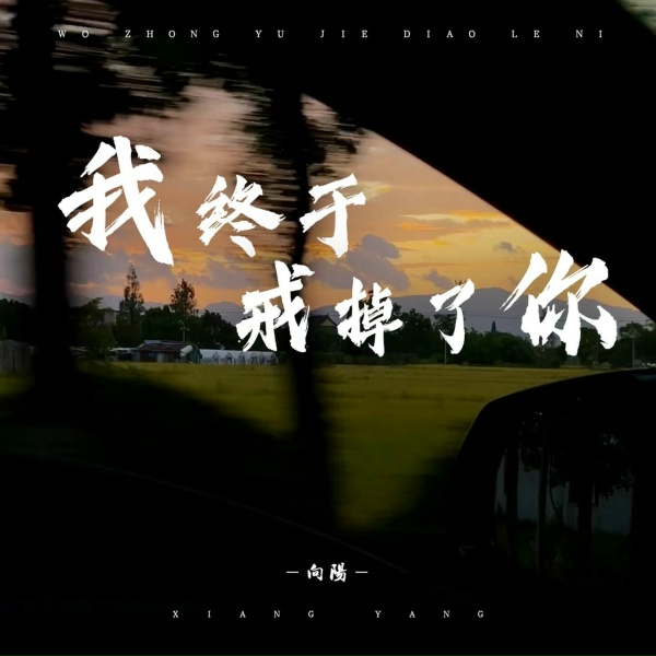 Обложка: 向阳 - 我终于戒掉了你
