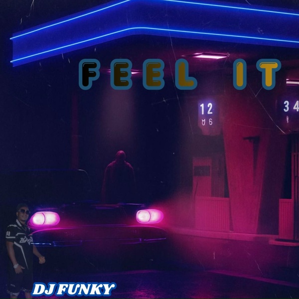 Обложка: DJ Funky - Dance Proper