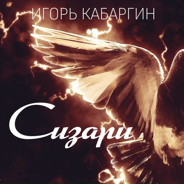 Обложка: Игорь Кабаргин - Фонарики качались