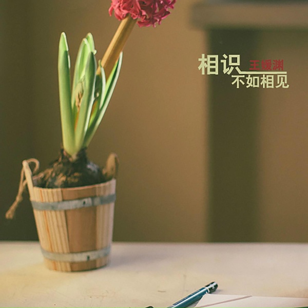 Обложка: 王媛渊 - 放大灯