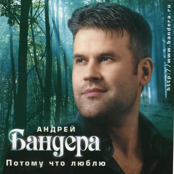 Обложка: Андрей Бандера - голуби целуются на крыше
