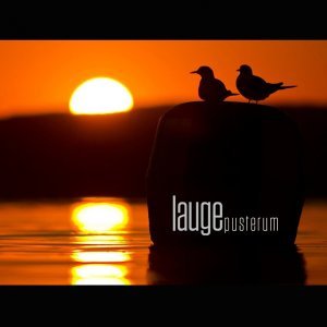 Обложка: Lauge - From Bottom to Shore