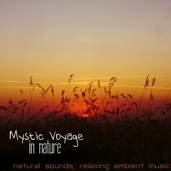 Обложка: Meditative Music Guru - Deep Meditative State Deep Meditative State