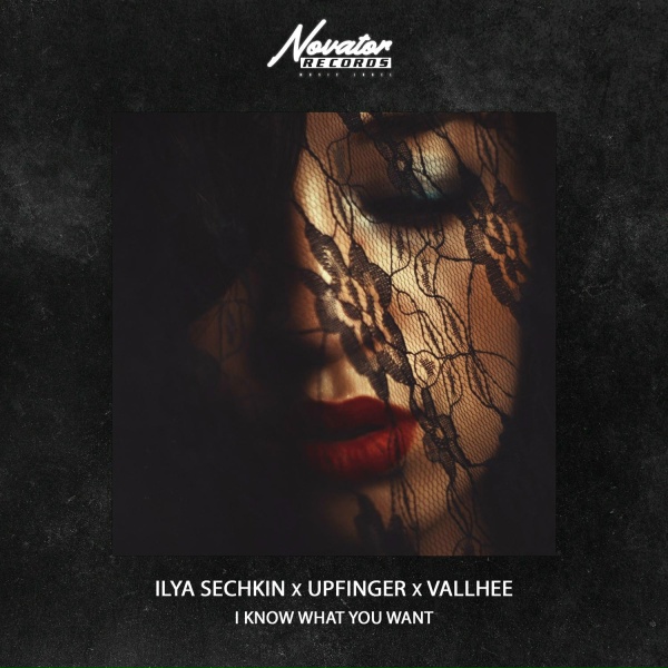 Обложка: ILYA SECHKIN, Upfinger, Vallhee - I Know What You Want