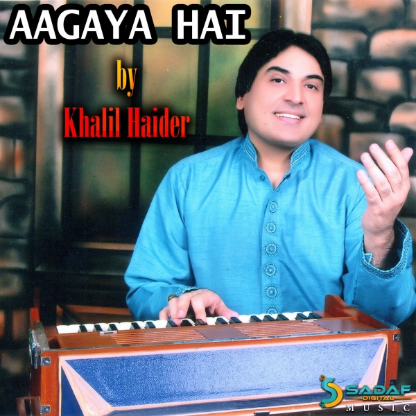 Обложка: Khalil Haider - Bhool Betha Hoon