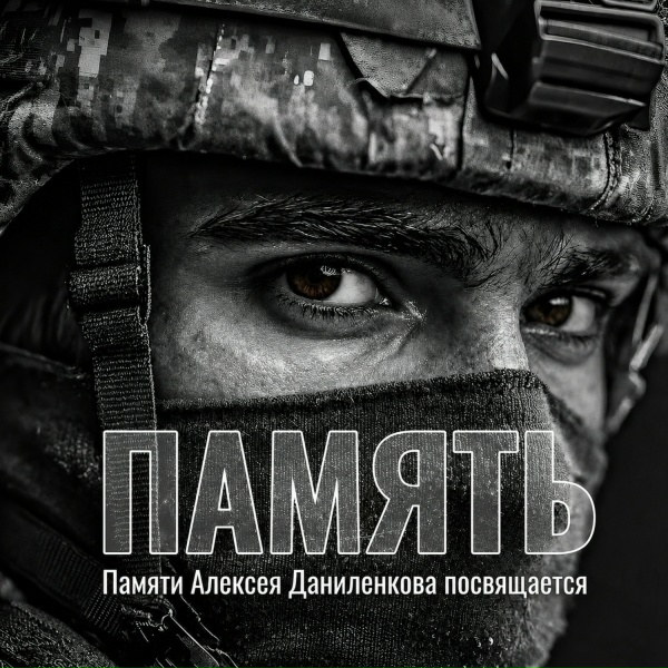 Обложка: Ира Вива, Странник - Ветеран