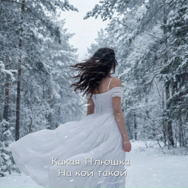 Обложка: Какая Плюшка - На кой такой